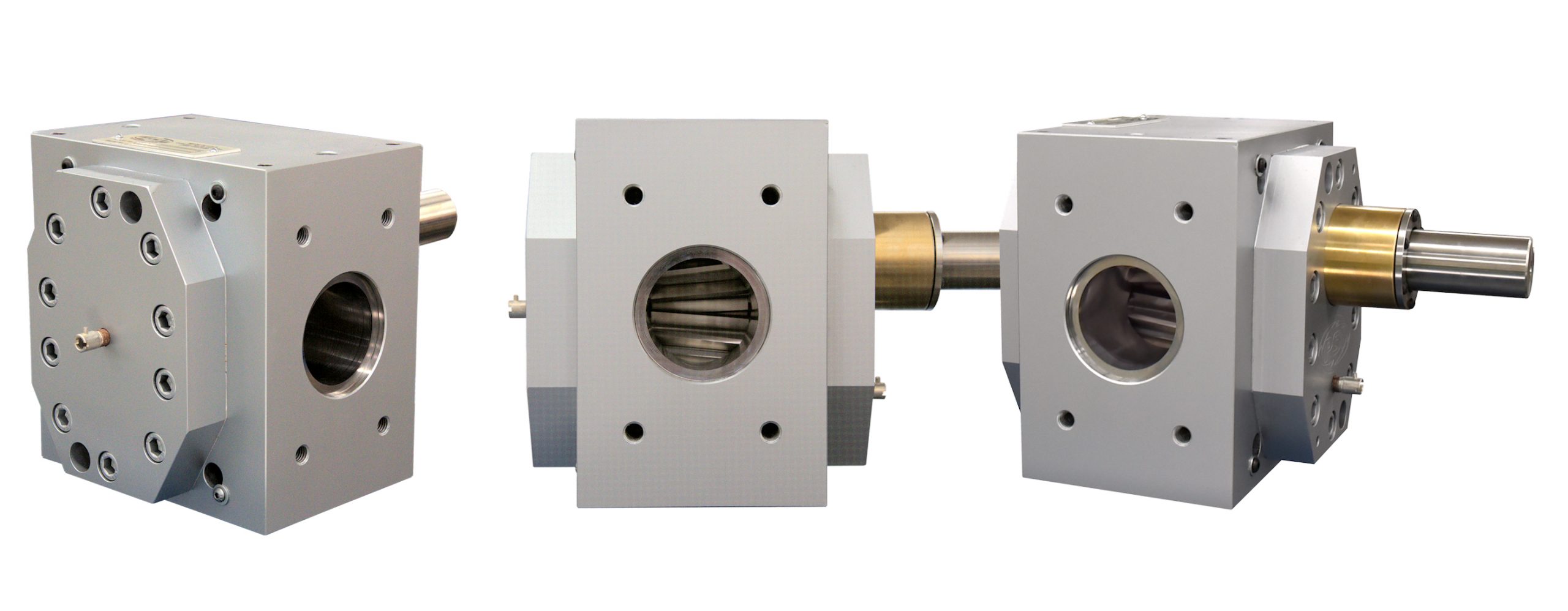 Extrusion Chemical Industrial Gear Pump (CIP)